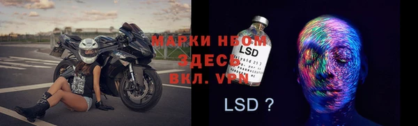 СК Нефтекумск