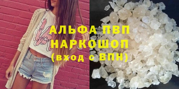 дмт Новозыбков