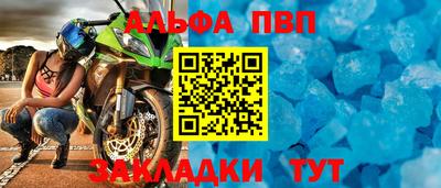 прущие грибы Кингисепп