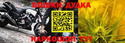 прущие грибы Кингисепп