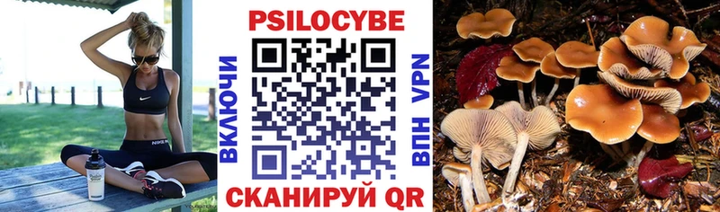 Псилоцибиновые грибы GOLDEN TEACHER  закладки  Усолье-Сибирское 