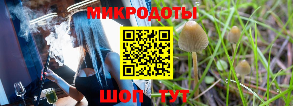 Галлюциногенные грибы мицелий Усолье-Сибирское
